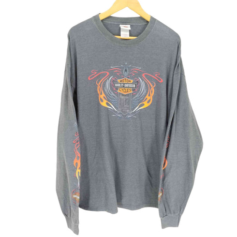 ハーレーダビッドソン HARLEY-DAVIDSON スリーブフレイムパターン 長袖Tシャツ メンズ 2XL