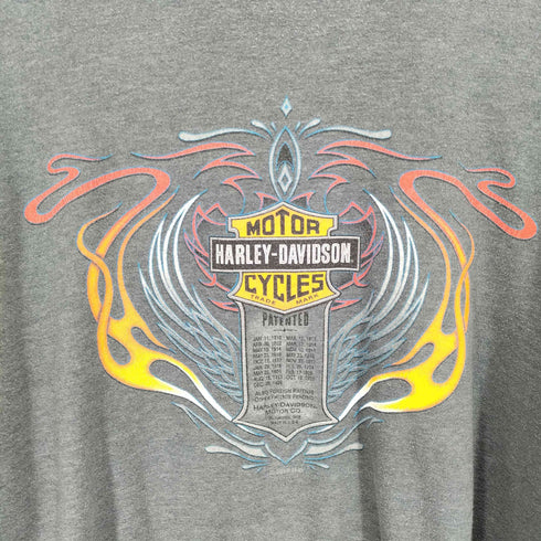 ハーレーダビッドソン HARLEY-DAVIDSON スリーブフレイムパターン 長袖Tシャツ メンズ 2XL