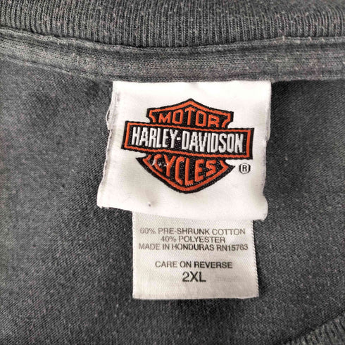 ハーレーダビッドソン HARLEY-DAVIDSON スリーブフレイムパターン 長袖Tシャツ メンズ 2XL