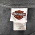 ハーレーダビッドソン HARLEY-DAVIDSON スリーブフレイムパターン 長袖Tシャツ メンズ 2XL