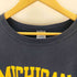 チャンピオン Champion USA製 刺繍タグ MICHIGAN フロッキープリント リバースウィーブ メンズ JPN:XL