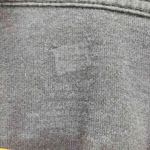 ヘインズ Hanes ©2006 フロントプリントバンドS/S TEE メンズ
