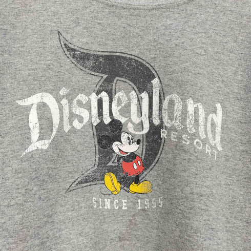 ヘインズ Hanes キャラクタープリント クルーネックスウェット メンズ import:M