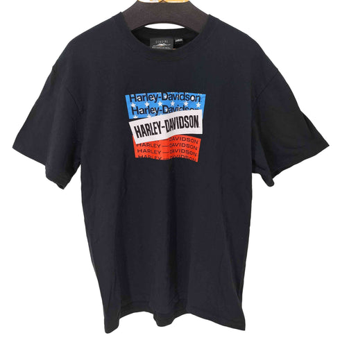 ハーレーダビッドソン HARLEY-DAVIDSON バーズ&スターズ ショートスリーブ Tシャツ メンズ import:L