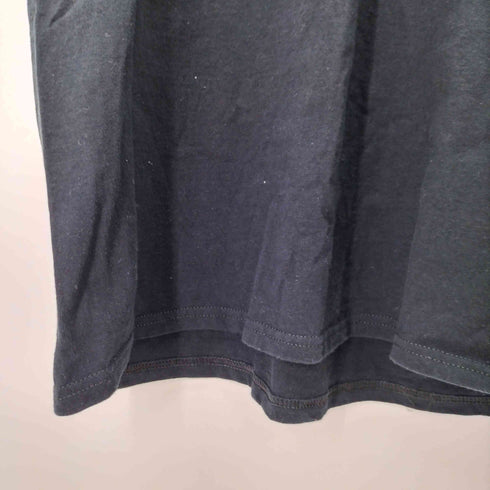 ハーレーダビッドソン HARLEY-DAVIDSON バーズ&スターズ ショートスリーブ Tシャツ メンズ import:L