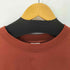 ナイキエーシージー NIKE ACG SS TEE FLAG REDSTONE メンズ import:XL