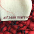 antonio marras マフラー レディース