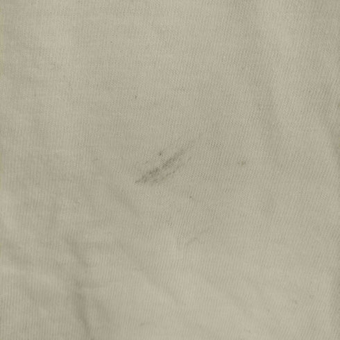 ヘインズ Hanes USA製 SHARP クルーネックTシャツ メンズ import:L