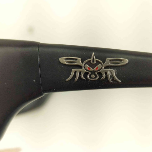 ブラックフライ BLACK FLYS TSI TSI FLY サングラス メンズ