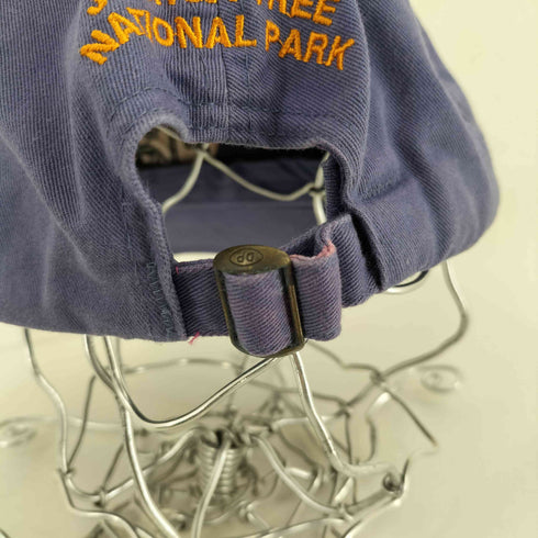 DORFMAN PACIFIC JOSHUA TREE NATIONAL PARK 6パネル スーベニアキャップ メンズ