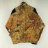 ヘロンプレストン HERON PRESTON NYLON CAMO TRACKSUIT JACKET メンズ S