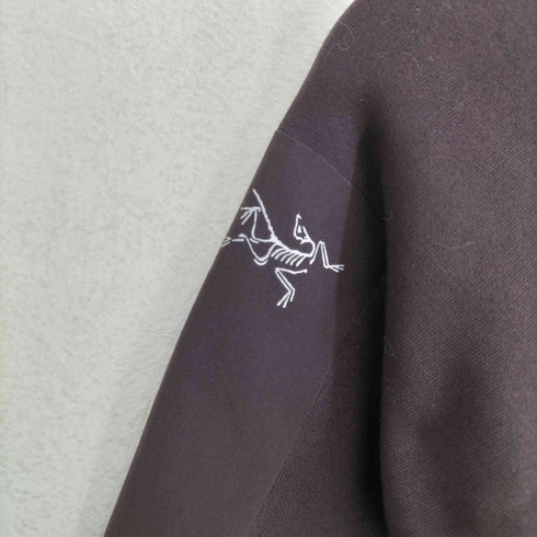 アークテリクス ARCTERYX RHO AR ZIP ハーフジップトップス レディース XS