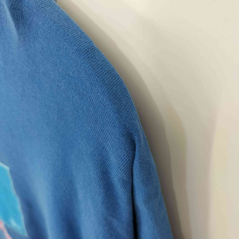 ステューシー Stussy OLD 90s USA製 紺タグ ガールプリント 4大都市 クルーネックTシャツ メンズ import:XL