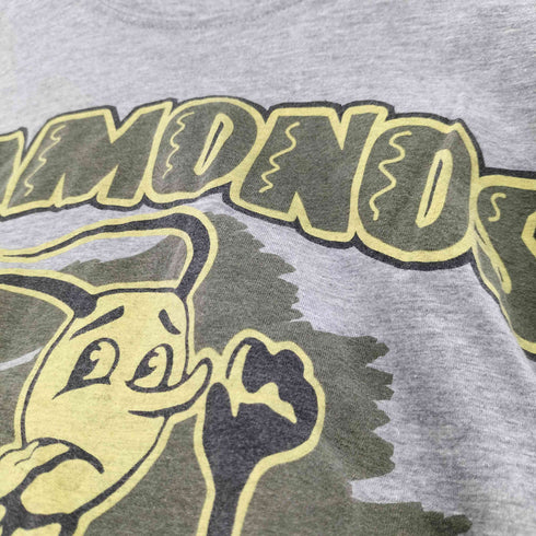 フロントプリント S/S Tシャツ メンズ import:XL