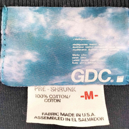 ジーディーシー GDC DUBLIN プリントクルーネックTシャツ メンズ JPN:M