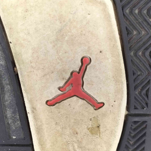 ジョーダンブランド JORDAN BRAND Air Jordan 4 Taupe Haze メンズ JPN:28