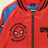 マーベル MARVEL キャラクター スカジャン プロテクターニューヨーク メンズ import:L