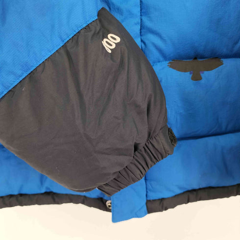 ザノースフェイス THE NORTH FACE SUMMIT SERIES HYVENT 800 Fill ダウンジャケット メンズ 100