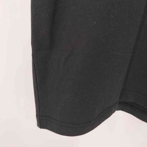 ザノースフェイス THE NORTH FACE ショートスリーブヒストリカルロゴティー メンズ JPN:M