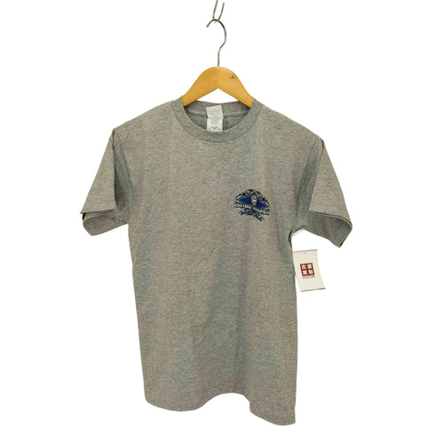 00S ALSTYLEボディ両面プリント クルーネックTシャツ 霜降り メンズ import:S