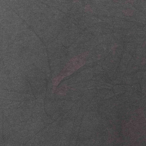 ポートアンドカンパニー PORT and COMPANY RED WHITE & BOOM 2023 プリント クルーネックTシャツ メンズ import:XL