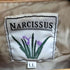 ナルシス NARCISSUS 太畝コーデュロイボックスシャツジャケット メンズ LL