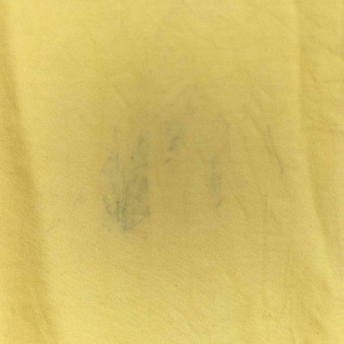 チェスウィック Cheswick MADE IN USA キャラクタープリント S/S リンガーTシャツ メンズ JPN:XL