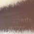 ケイトスペード Kate spade レースアップニットブーツ レディース 6.5B (約23.5cm)