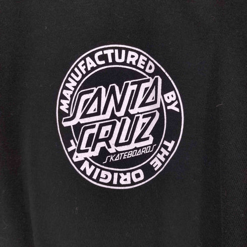 サンタクルズ SANTA CRUZ EROSTIKA バック アーティスト プリント S/S Tシャツ メンズ JPN:L
