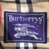 バーバリーズ BURBERRYS 玉虫 裏地ノヴァチェックステンカラーコート メンズ S