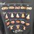 SHESAME Assortment Graphic Sweat レディース JPN:M