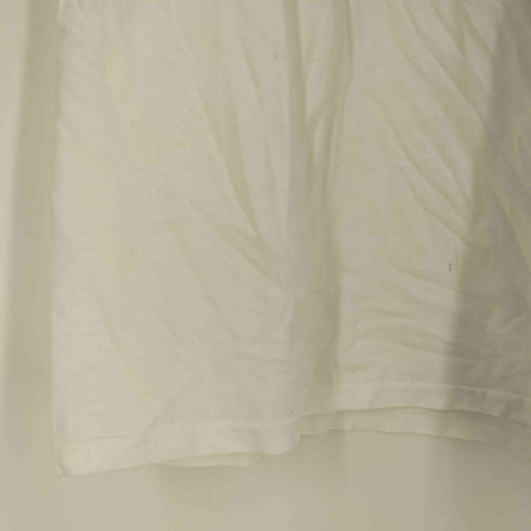 フルーツオブザルーム FRUIT OF THE LOOM SPAM プリント Tシャツ メンズ import:L