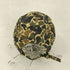 アディダス adidas Camouflage Baseball Cap メンズ