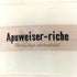 アプワイザーリッシェ Apuweiser riche ドットシフォンマキシスカート レディース