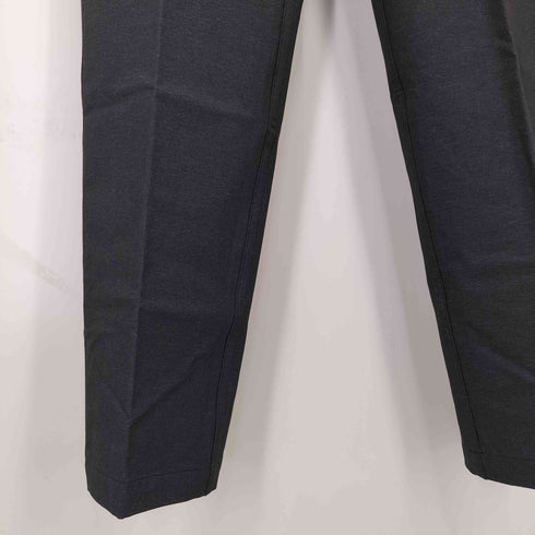 チャンピオン Champion 20AW ナイロン ストレッチ ゴルフパンツ メンズ LARGE