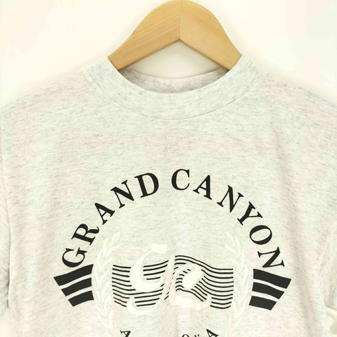 90S Murina's BEST USA製 PREMIUM WEIGHT GRAND CANYON グランドキャニオン アーチ プリント S/S Tシャツ 霜降り メンズ import:M