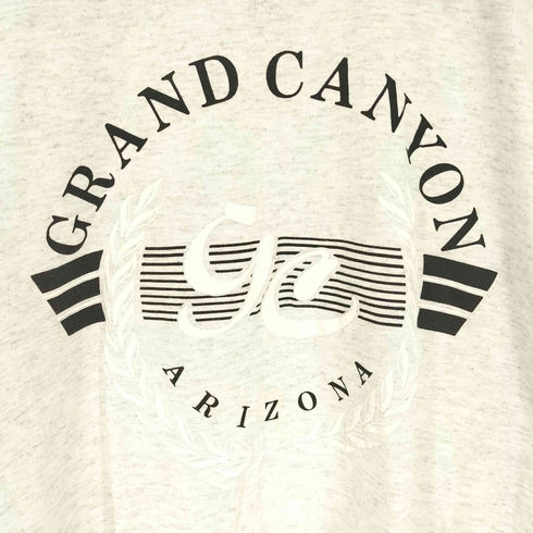 90S Murina's BEST USA製 PREMIUM WEIGHT GRAND CANYON グランドキャニオン アーチ プリント S/S Tシャツ 霜降り メンズ import:M