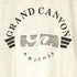 90S Murina's BEST USA製 PREMIUM WEIGHT GRAND CANYON グランドキャニオン アーチ プリント S/S Tシャツ 霜降り メンズ import:M