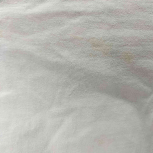 ヘインズ Hanes 90S BEEFY-T デザインプリントTシャツ シングルステッチ メンズ JPN:L