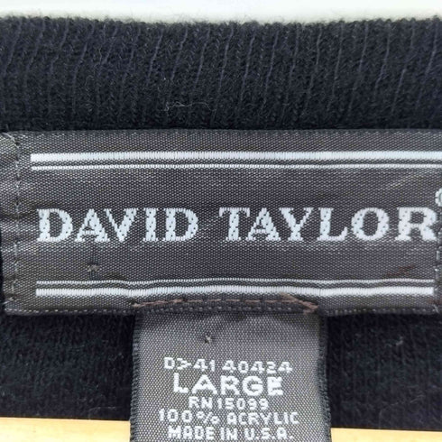 デヴィッドテイラー david taylor 90-00S USA製 Vネックベスト メンズ JPN:L