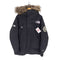 ザノースフェイス THE NORTH FACE Antarctica PARKA メンズ JPN:L