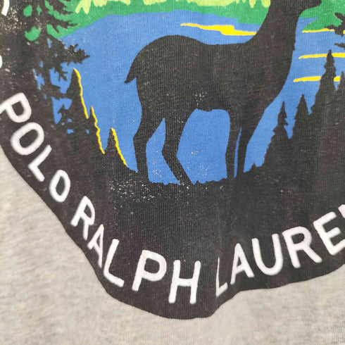 ポロラルフローレン POLO RALPH LAUREN フロント プリント プルオーバー パーカー メンズ import:M