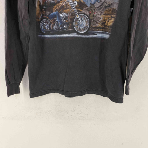 ヘインズ Hanes GHOSTRIDER L/S クルーネックTシャツ メンズ import:M