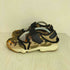 ナイキ NIKE WMNS AIR RIFT レディース 25cm
