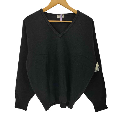 シーン SCENE ナイロン混 ウール Vネック ニット メンズ import:L