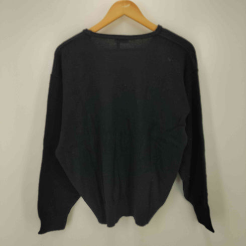 シーン SCENE ナイロン混 ウール Vネック ニット メンズ import:L