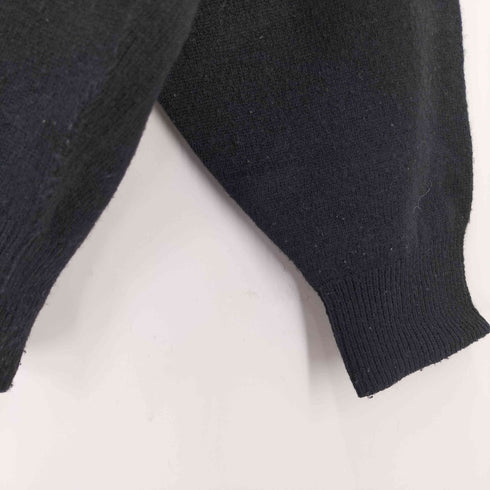 シーン SCENE ナイロン混 ウール Vネック ニット メンズ import:L