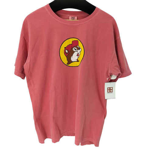 コンフォートカラーズ COMFORT COLORS 企業キャラクターTシャツ メンズ import:L