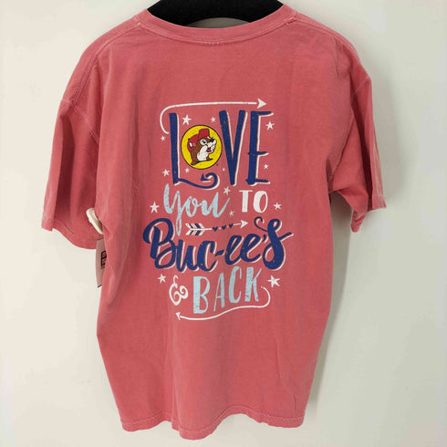 コンフォートカラーズ COMFORT COLORS 企業キャラクターTシャツ メンズ import:L
