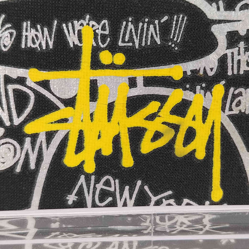 ステューシー Stussy 総柄 グラスケース メンズ